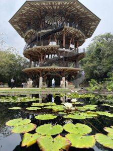 jardin botanico cali