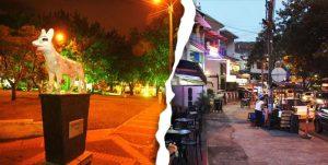 lugares nocturnos cali